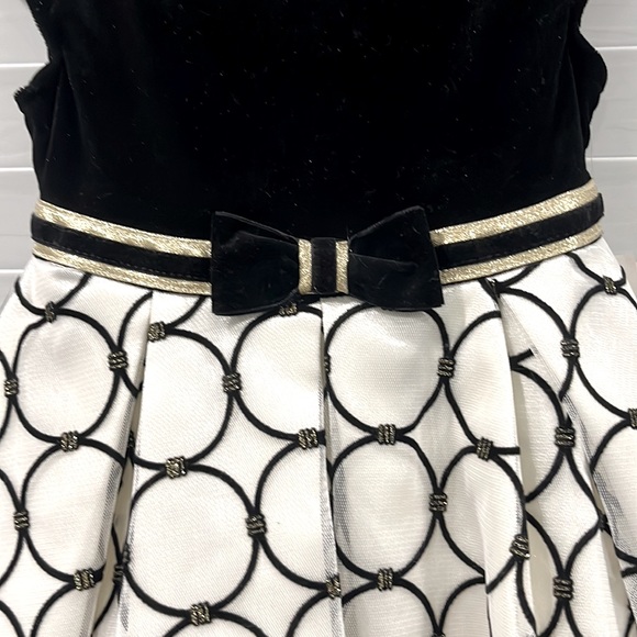 NWT Jona Michelle 2T Velvet and tulle Toddler Dress - Picture 2 of 9